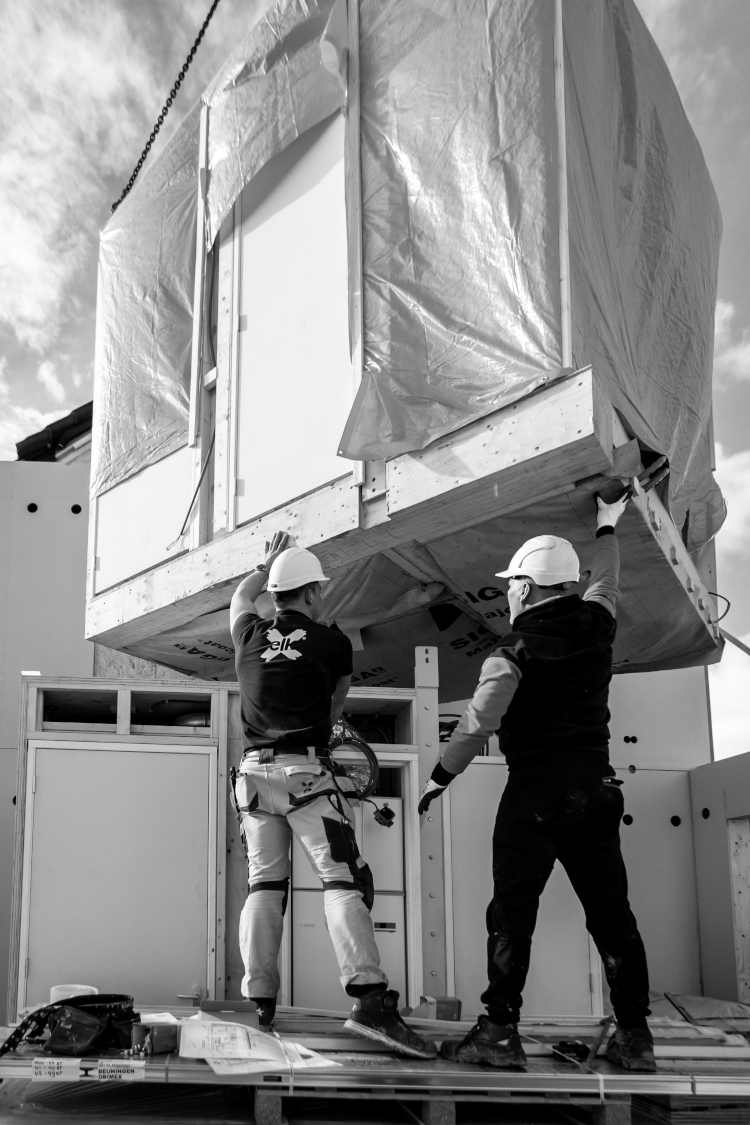 stapelen met kubussen - elk®